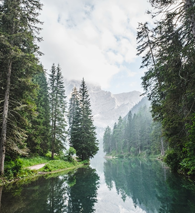 Nature (Biodiversity)